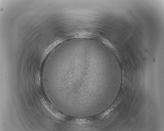 X0000056000298200508261756