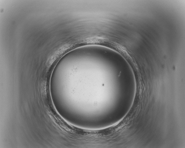 X0000056000299200508261756