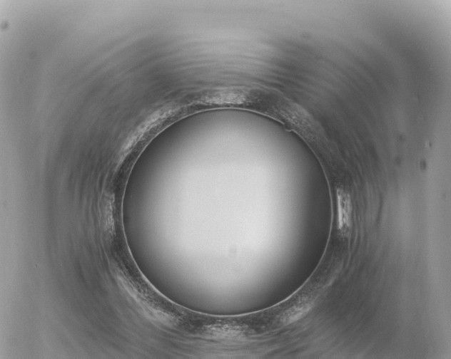 X0000056000300200508261756