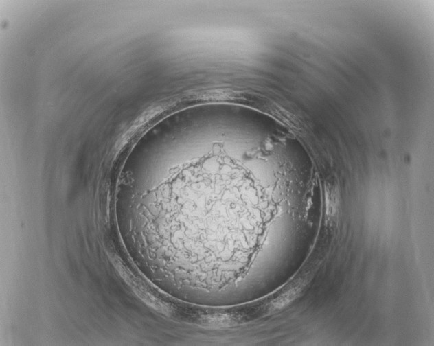 X0000056000301200508261756