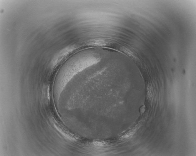 X0000056000302200508261756