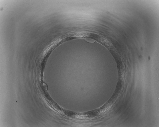 X0000056000303200508261756