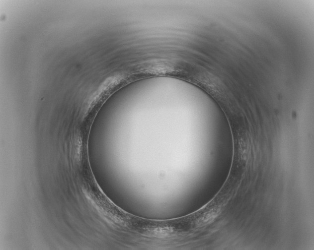 X0000056000304200508261756