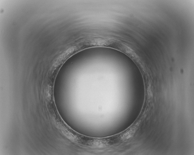 X0000056000305200508261756