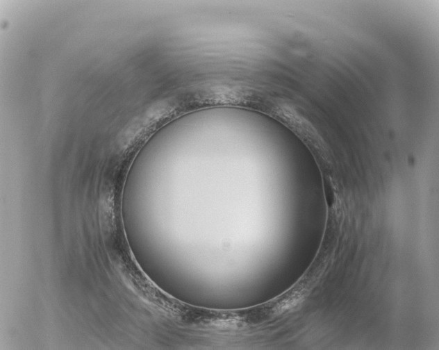 X0000056000306200508261756