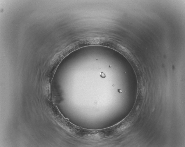 X0000056000307200508261756