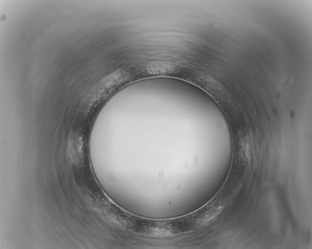 X0000056000308200508261756