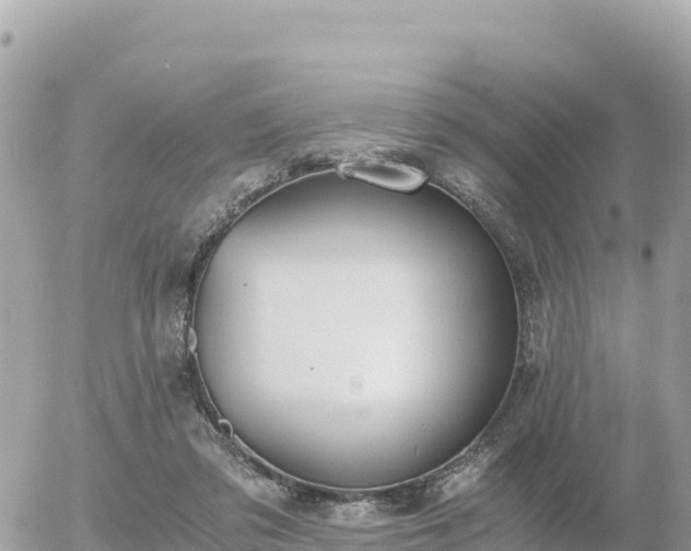 X0000056000309200508261756