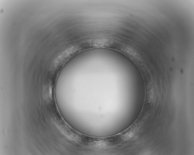 X0000056000310200508261756