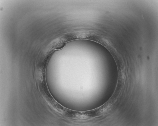 X0000056000311200508261756