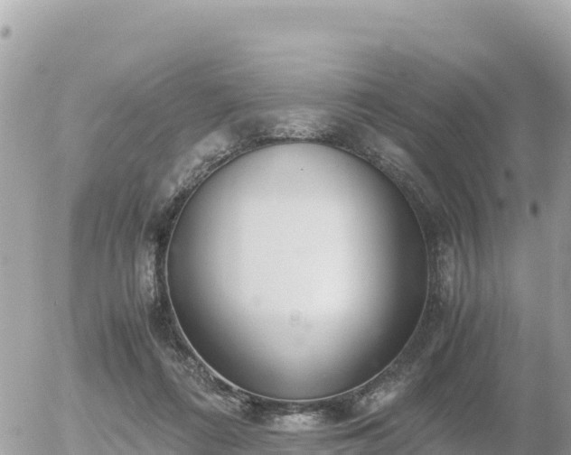 X0000056000312200508261756