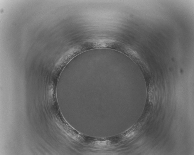 X0000056000314200508261756