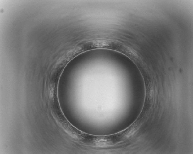 X0000056000315200508261756