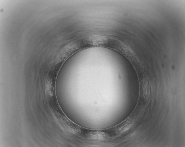 X0000056000316200508261756