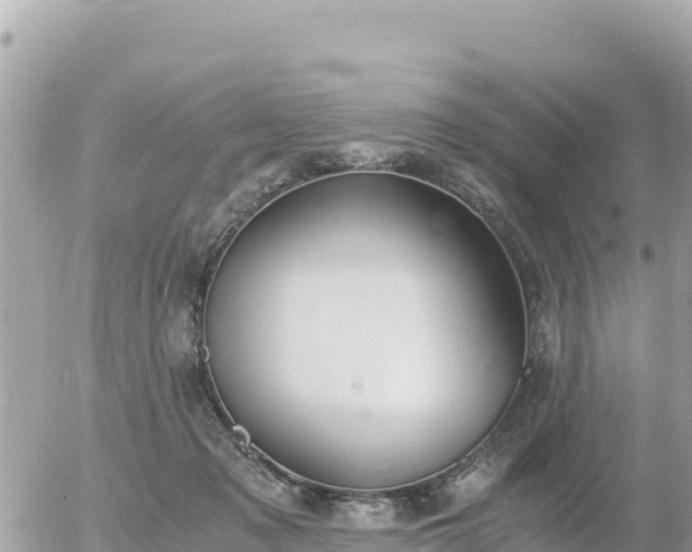 X0000056000317200508261756