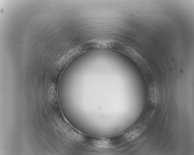 X0000056000318200508261756