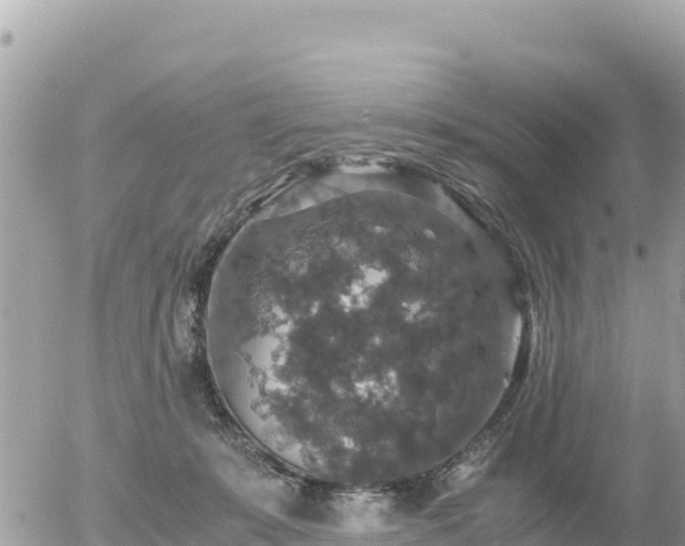 X0000056000319200508261756