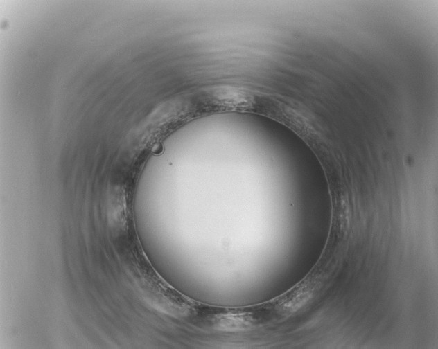 X0000056000320200508261756