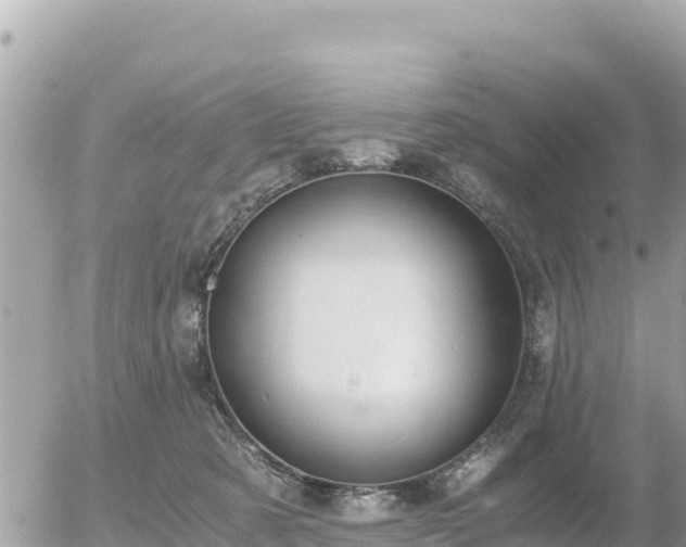 X0000056000321200508261756