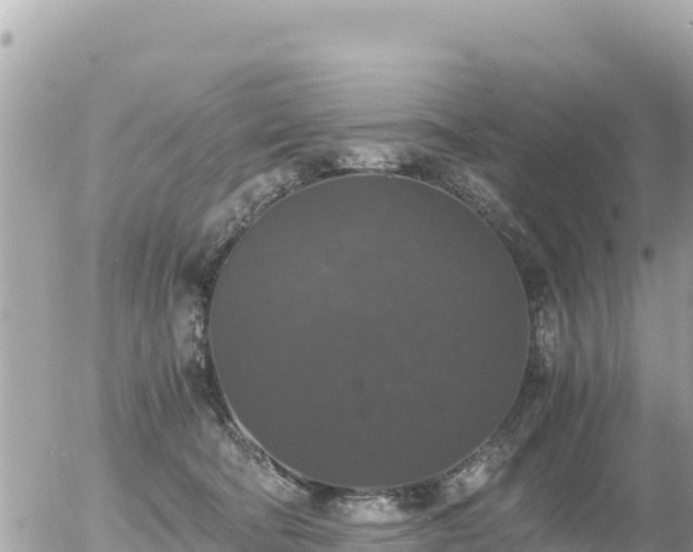 X0000056000322200508261756