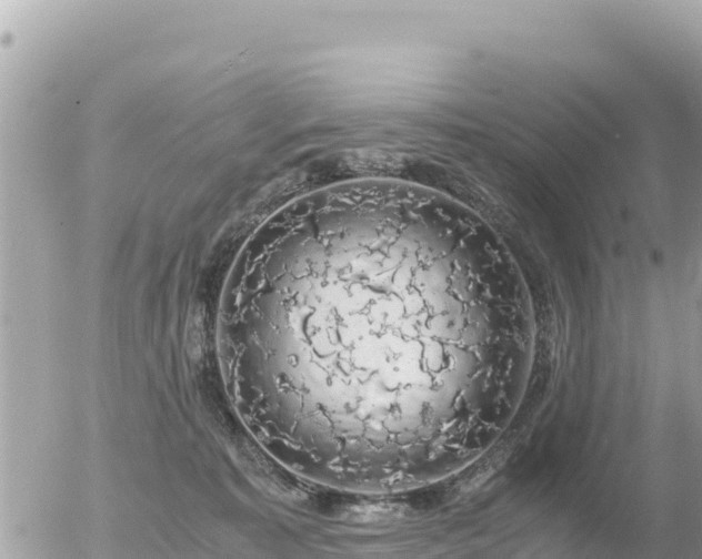 X0000056000323200508261756