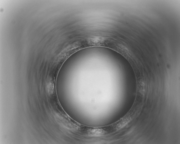 X0000056000324200508261756