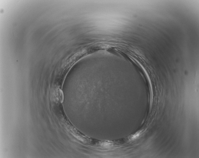 X0000056000325200508261756