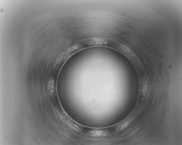 X0000056000326200508261756