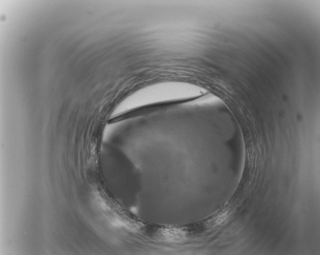 X0000056000327200508261756