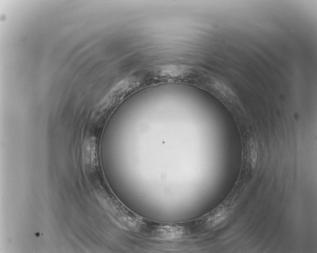 X0000056000328200508261756