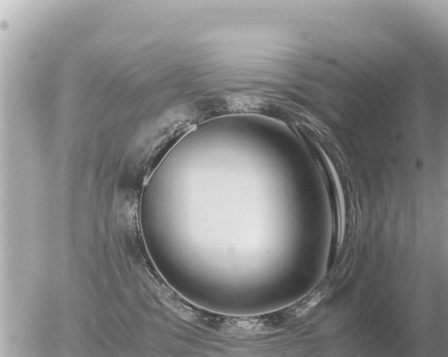 X0000056000329200508261756