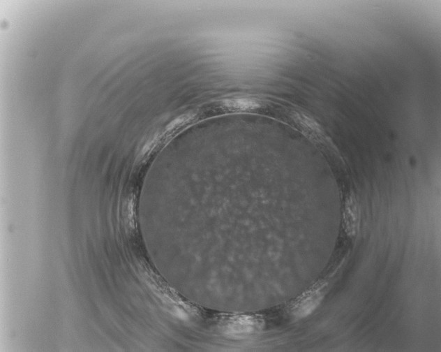 X0000056000330200508261756