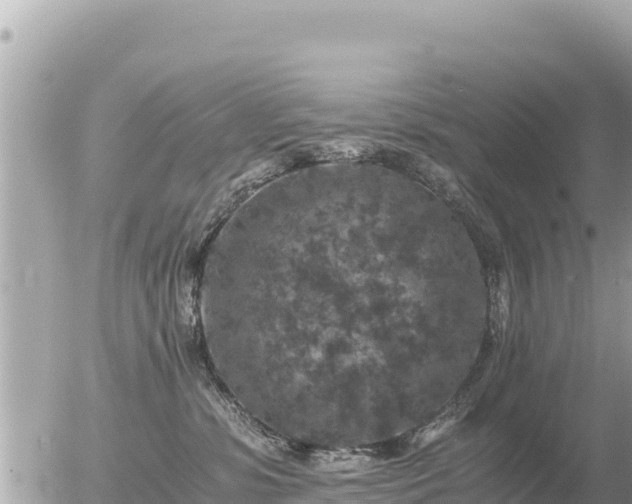 X0000056000331200508261756