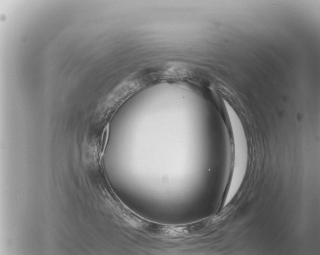 X0000056000333200508261756