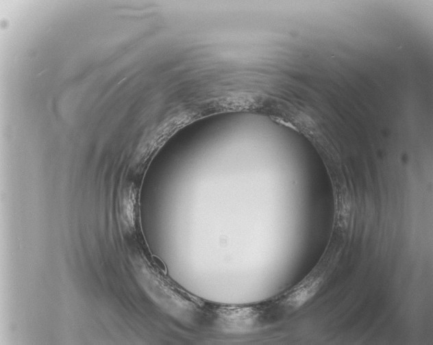 X0000056000334200508261756