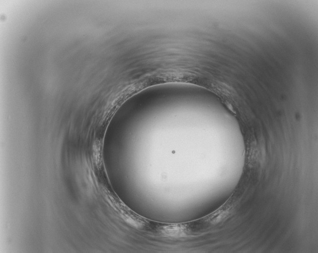 X0000056000335200508261756