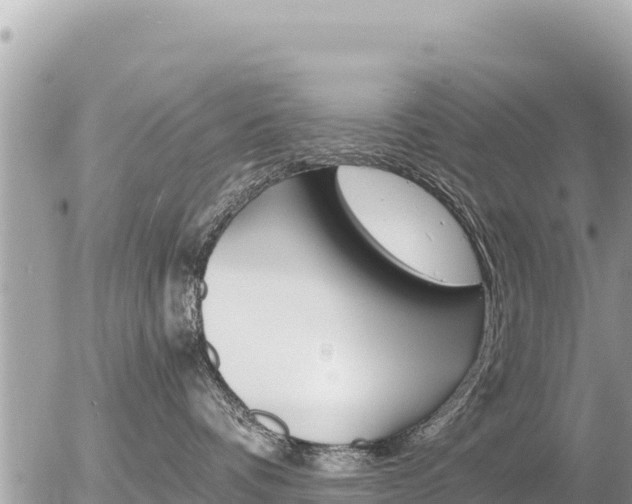 X0000056000336200508261756