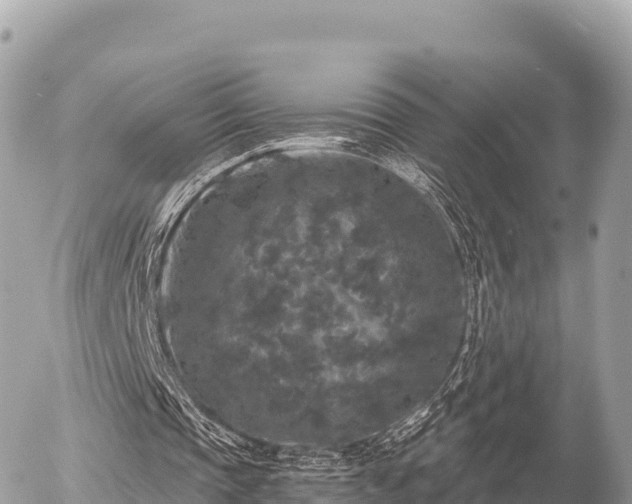 X0000056000337200508261755