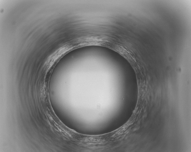 X0000056000338200508261755