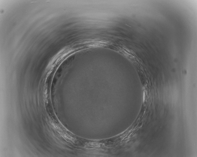 X0000056000339200508261755