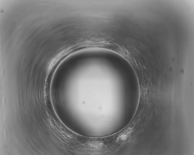 X0000056000340200508261755