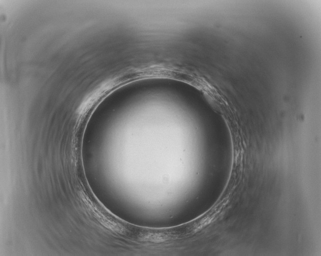 X0000056000341200508261755