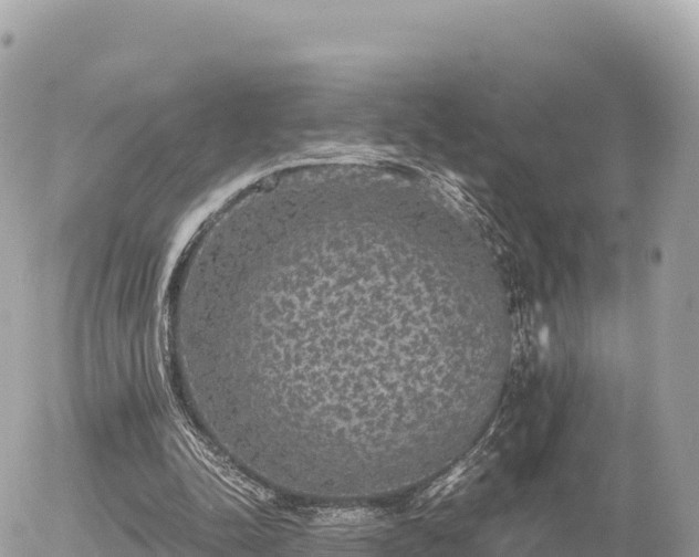 X0000056000342200508261755