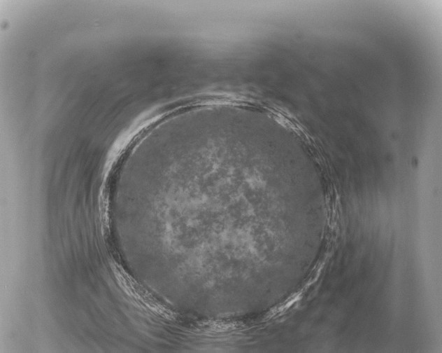 X0000056000343200508261755