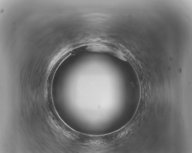 X0000056000344200508261755