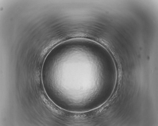 X0000056000345200508261755