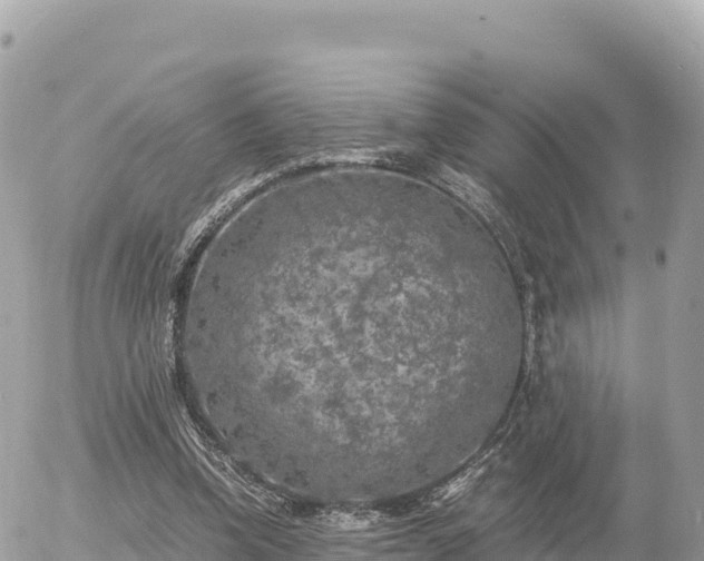 X0000056000346200508261755