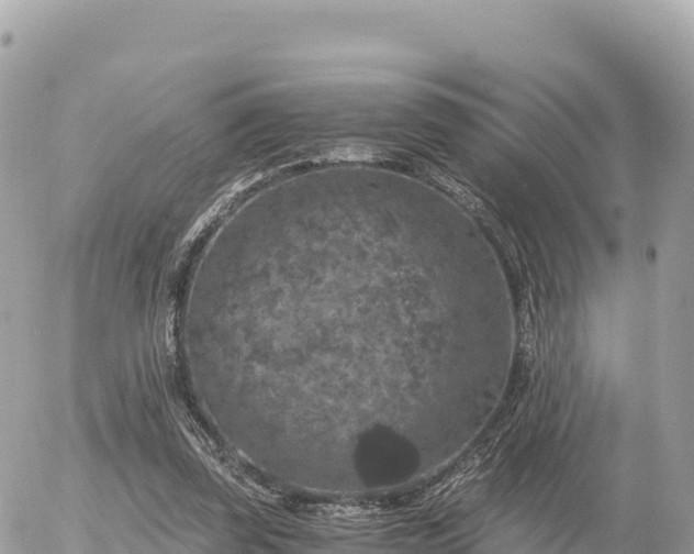 X0000056000347200508261755