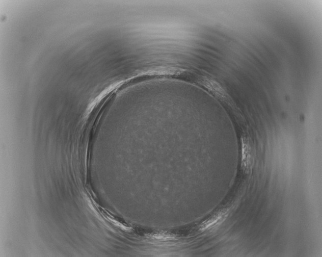 X0000056000348200508261755