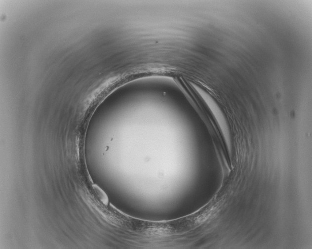 X0000056000350200508261755